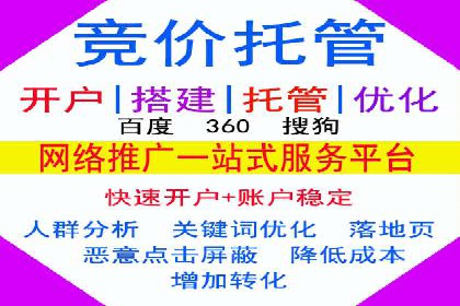 SEM代运营服务公司成功案例解析